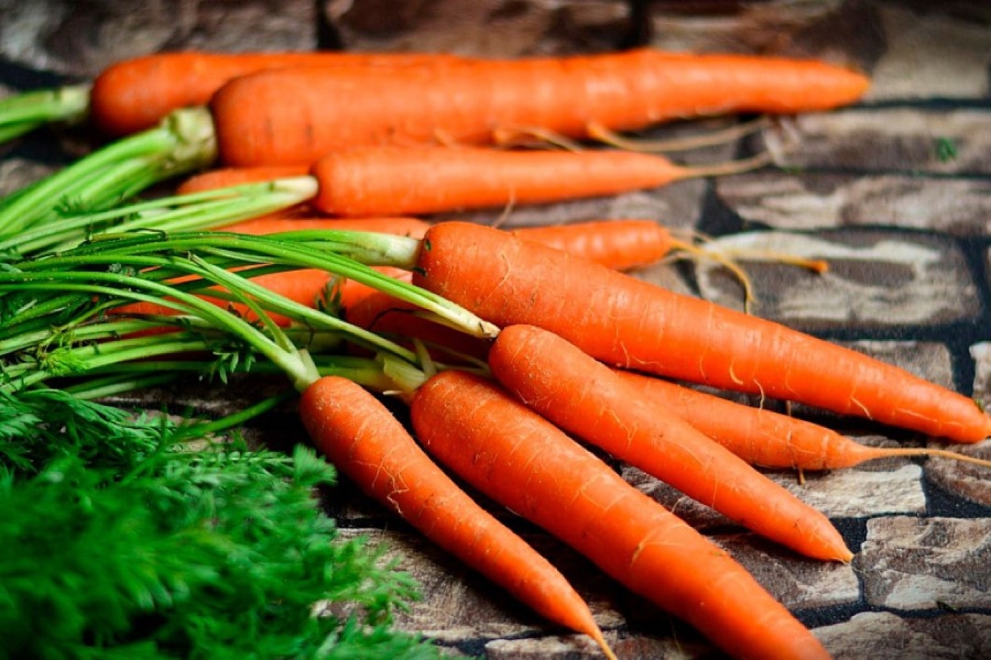 Называем секреты правильной подкормки моркови – будет сладкой и сочной