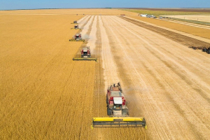 Жатву завершили уже четыре хозяйства