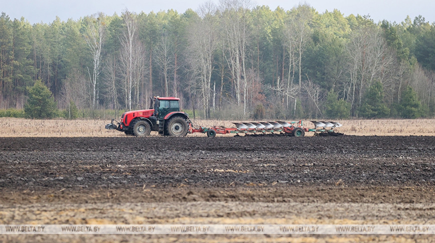 В Беларуси ранние яровые посеяли на площади почти 35 тыс. га