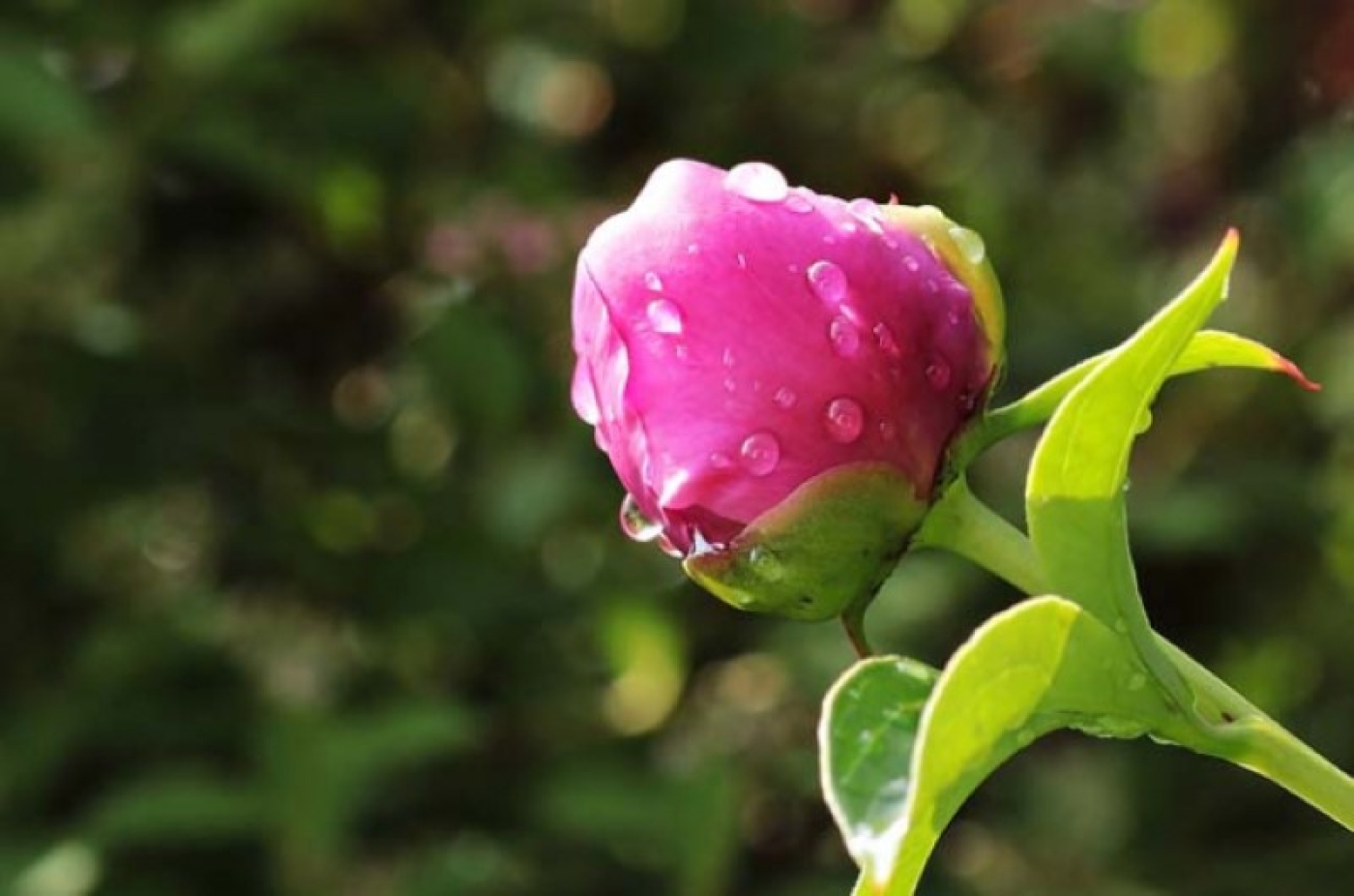 Погода в Беларуси в выходные: переменная облачность и от +7 °С до +25 °С