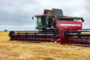 Есть вопросы по уборочной или нужна оперативная помощь? Обратиться можно к профсоюзам