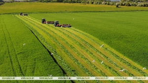 В Минской области в начале мая планируют приступить к первому укосу трав
