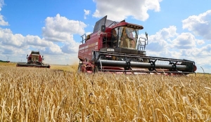 На уборке урожая продолжают трудиться 212 молодежных экипажей и более 150 молодых водителей