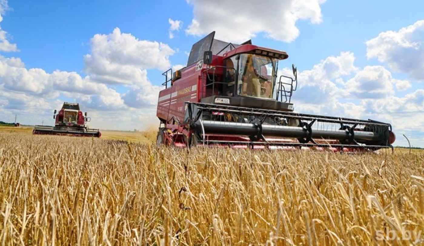 На уборке урожая продолжают трудиться 212 молодежных экипажей и более 150 молодых водителей