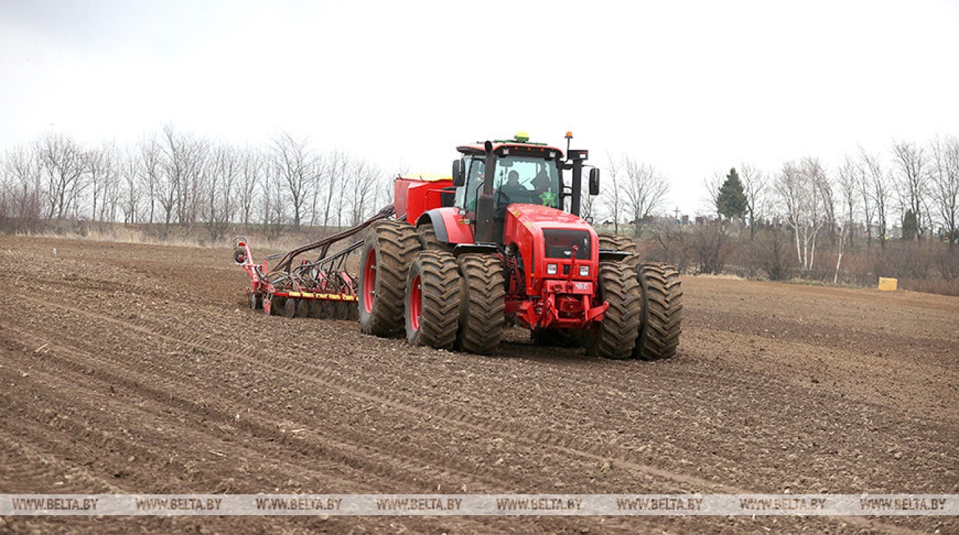Ранние яровые в Беларуси посеяны на площади более 87 тыс. га