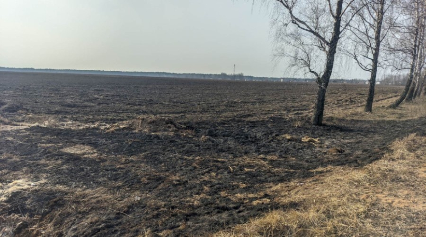 В Бобруйском районе подростки подожгли камыш, а потом тушили огонь куртками и газировкой