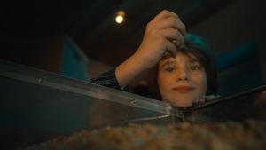 Отапливайте свой дом выгодно!