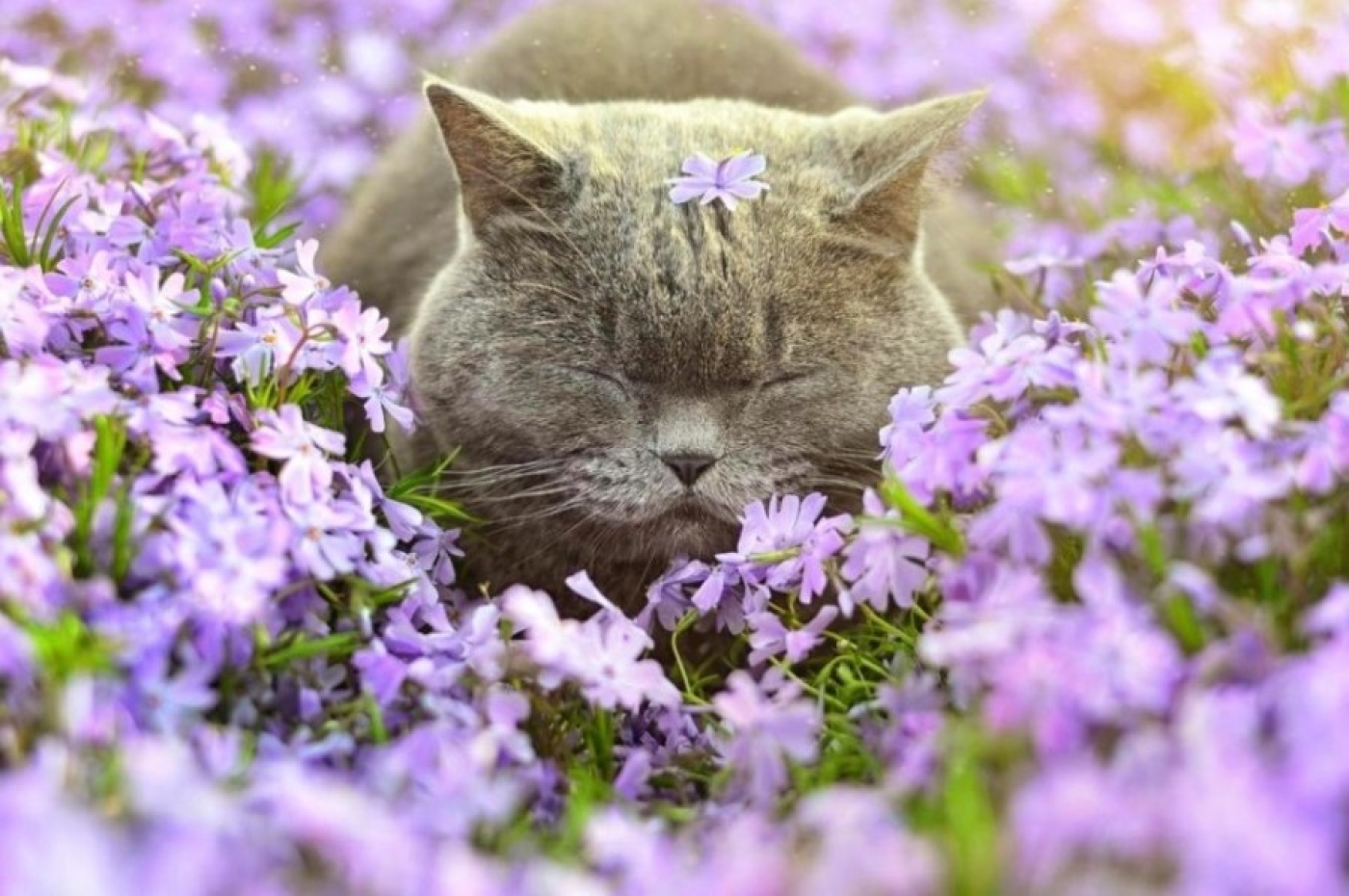 Погода в Беларуси в выходные: без осадков и от -2 °С до +19 °С