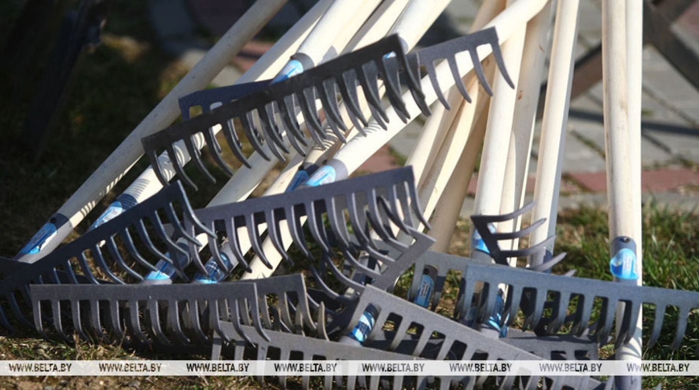 В Беларуси стартовала акция по наведению порядка на земле, благоустройству и озеленению