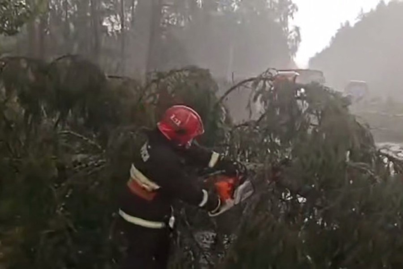 В Гродно спасатели помогали устранять последствия непогоды, мониторинг обстановки продолжается