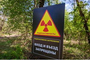 Площадь загрязненных после аварии на ЧАЭС территорий в Беларуси сократилась в 1,8 раза