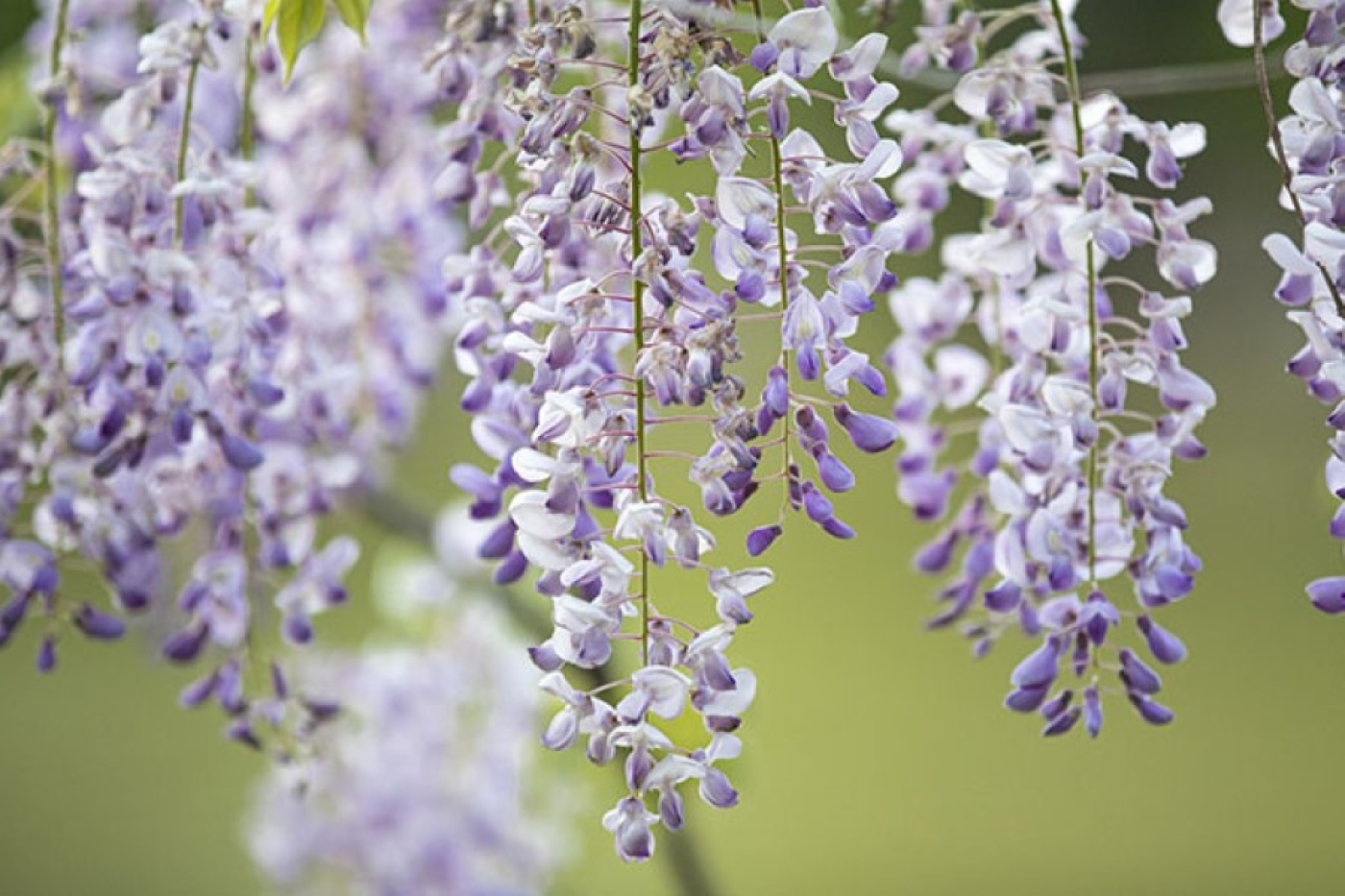 Погода в Беларуси 4 апреля: без осадков, порывистый ветер и от 0 °С до +21 °С