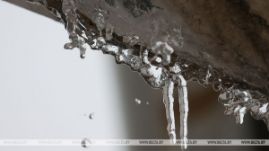 Гололедица и порывистый ветер ожидаются сегодня в Беларуси