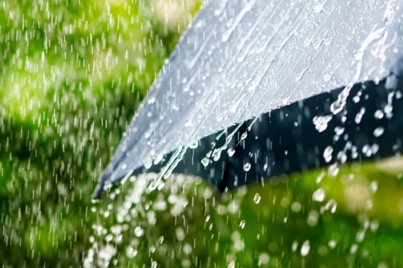 Прогноз погоды на 9 июня: грозы, шквалистый ветер и до +23 °С