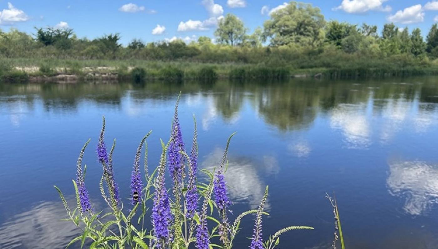 В Минприроды рассказали, откуда получают долгосрочные прогнозы погоды по Беларуси