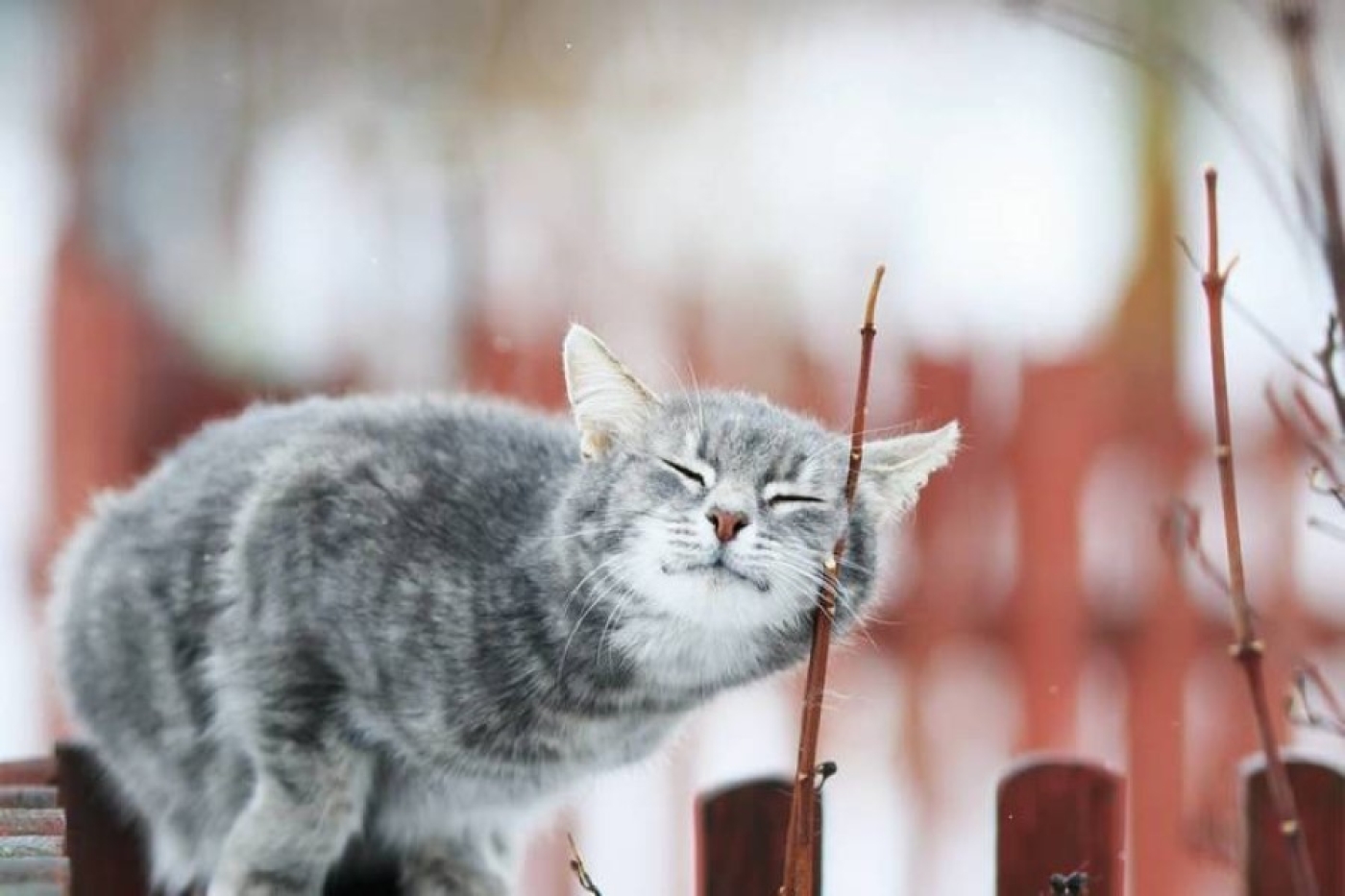 Будет ли тепло в Беларуси в выходные, рассказали синоптики