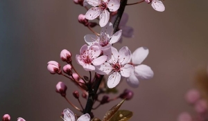 Рябов о погоде на неделю с 21 по 27 апреля. Будет ли жарко?