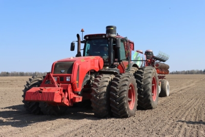 Продолжают полевые работы в ОАО «Погостский»