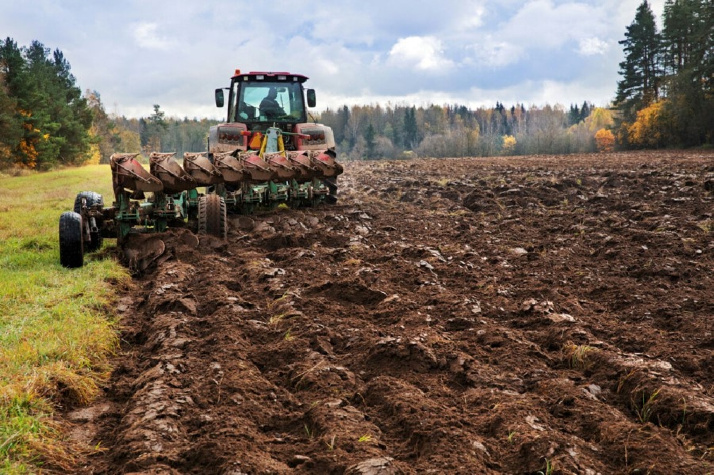 В Беларуси подняли более 71% зяби