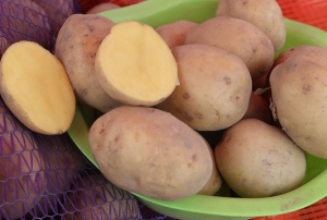 "Капуста, лук, картошка…" Лукашенко указал, что свое должно быть людям по карману