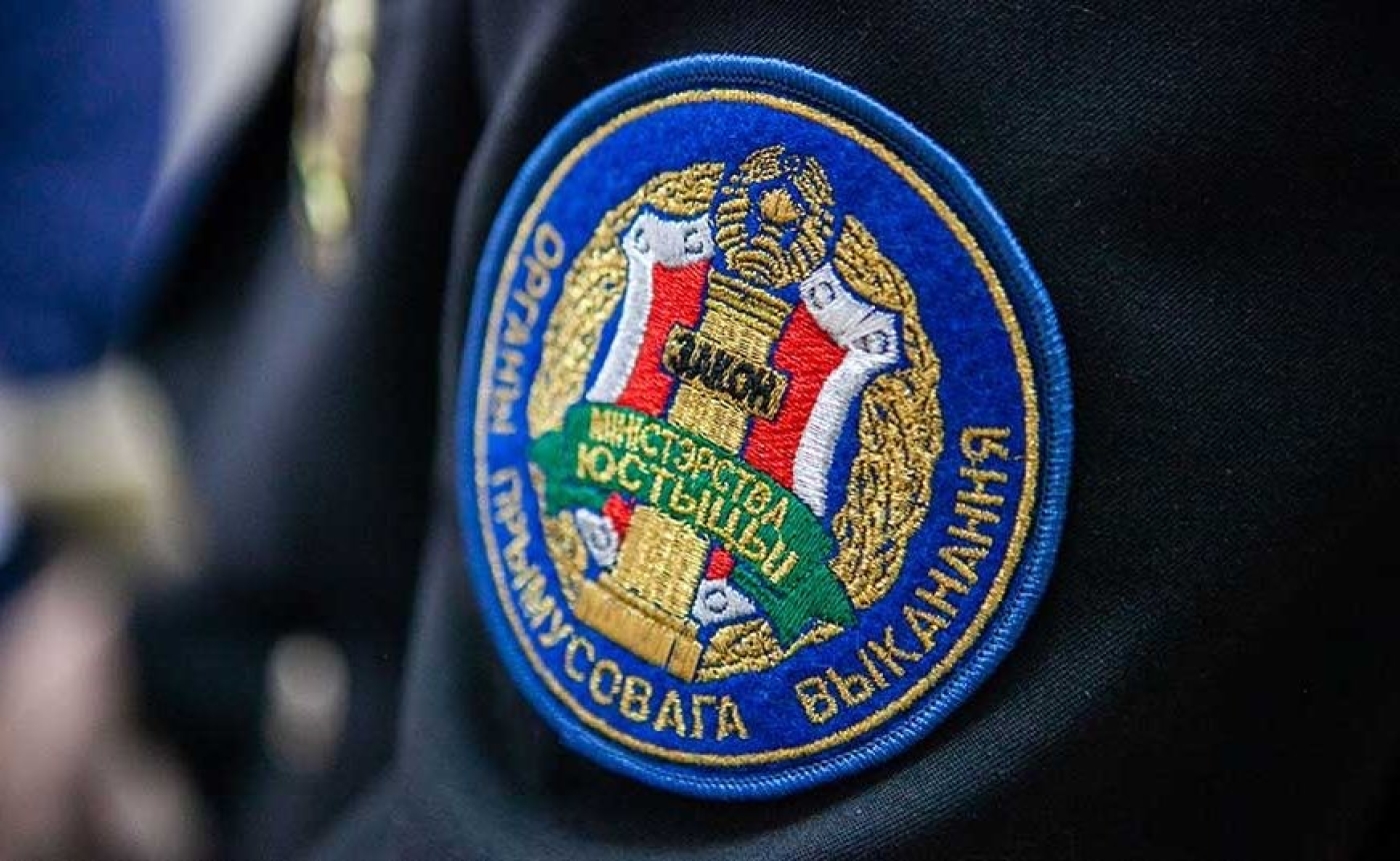 На страже детства: как органы принудительного исполнения Минской области помогают детям