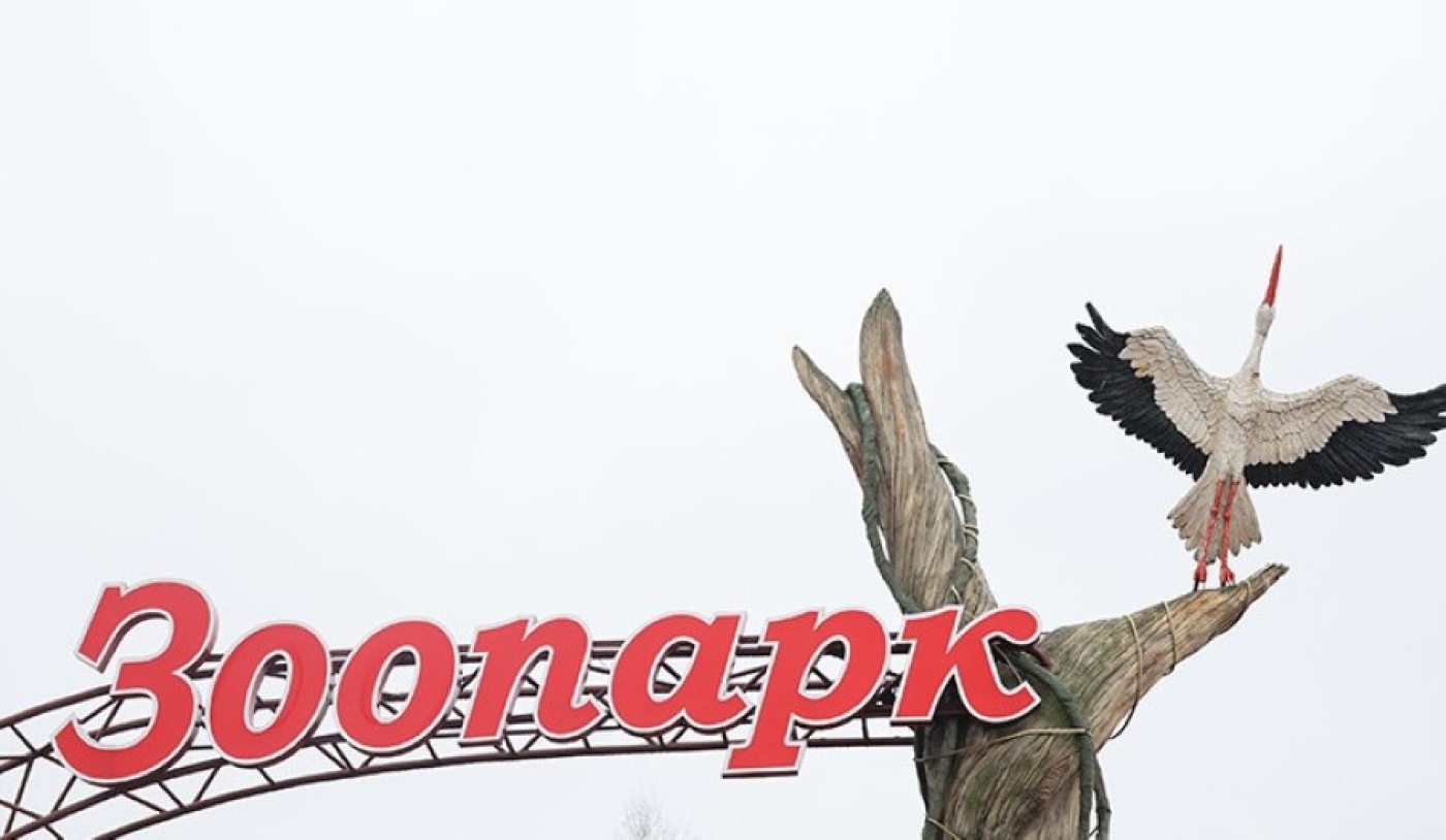 Пожилые люди могут бесплатно посетить Минский зоопарк 1 октября