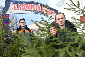 «Жывая» ёлачка на Новы год