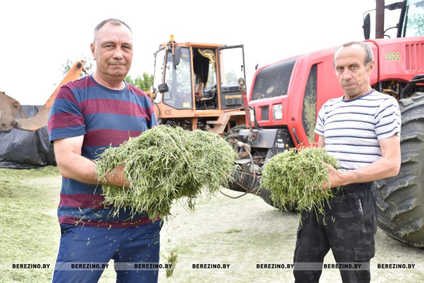 Кормозаготовка в ОАО «Бродец»