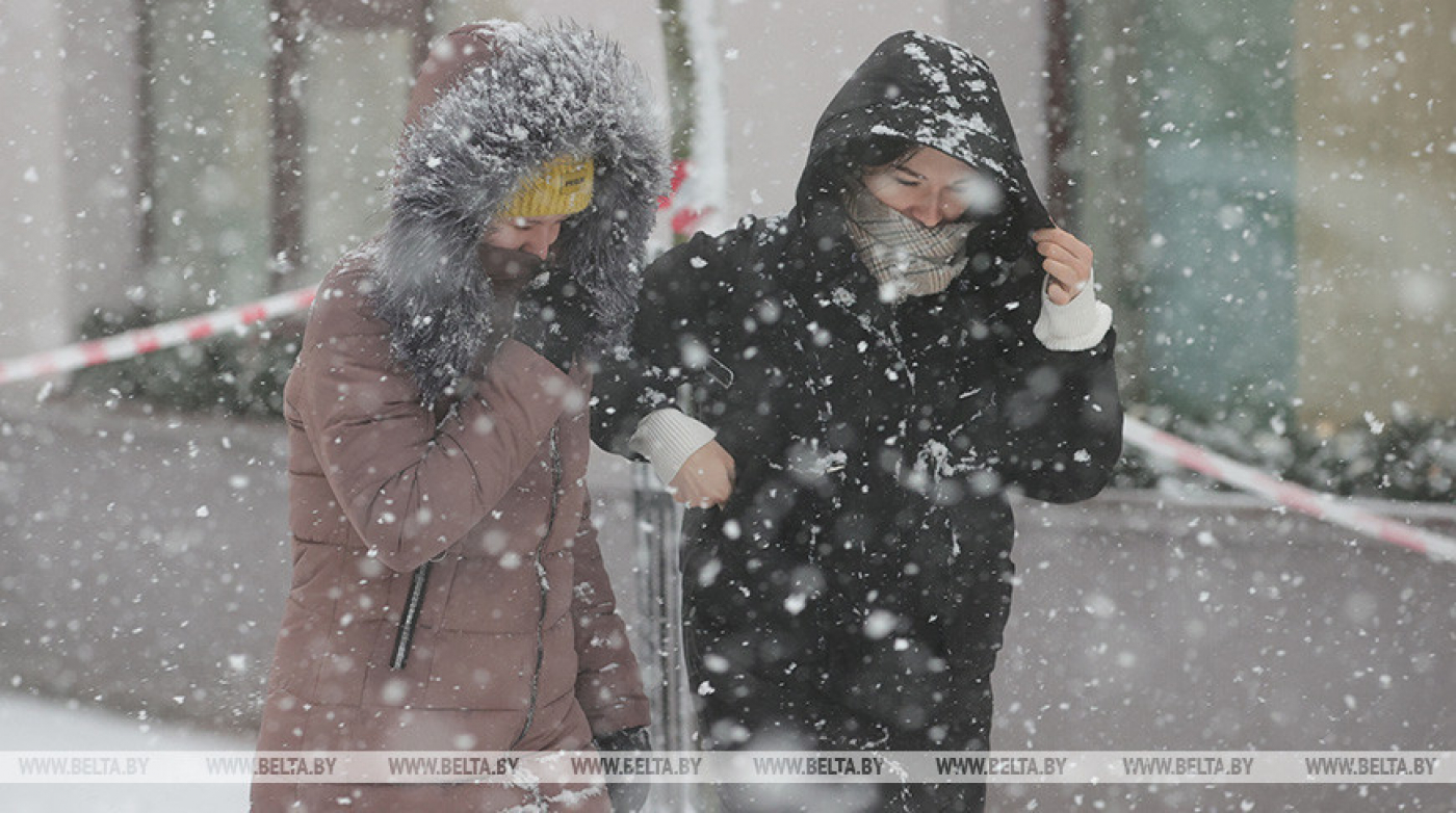 МЧС предупреждает об опасности из-за сильного ветра
