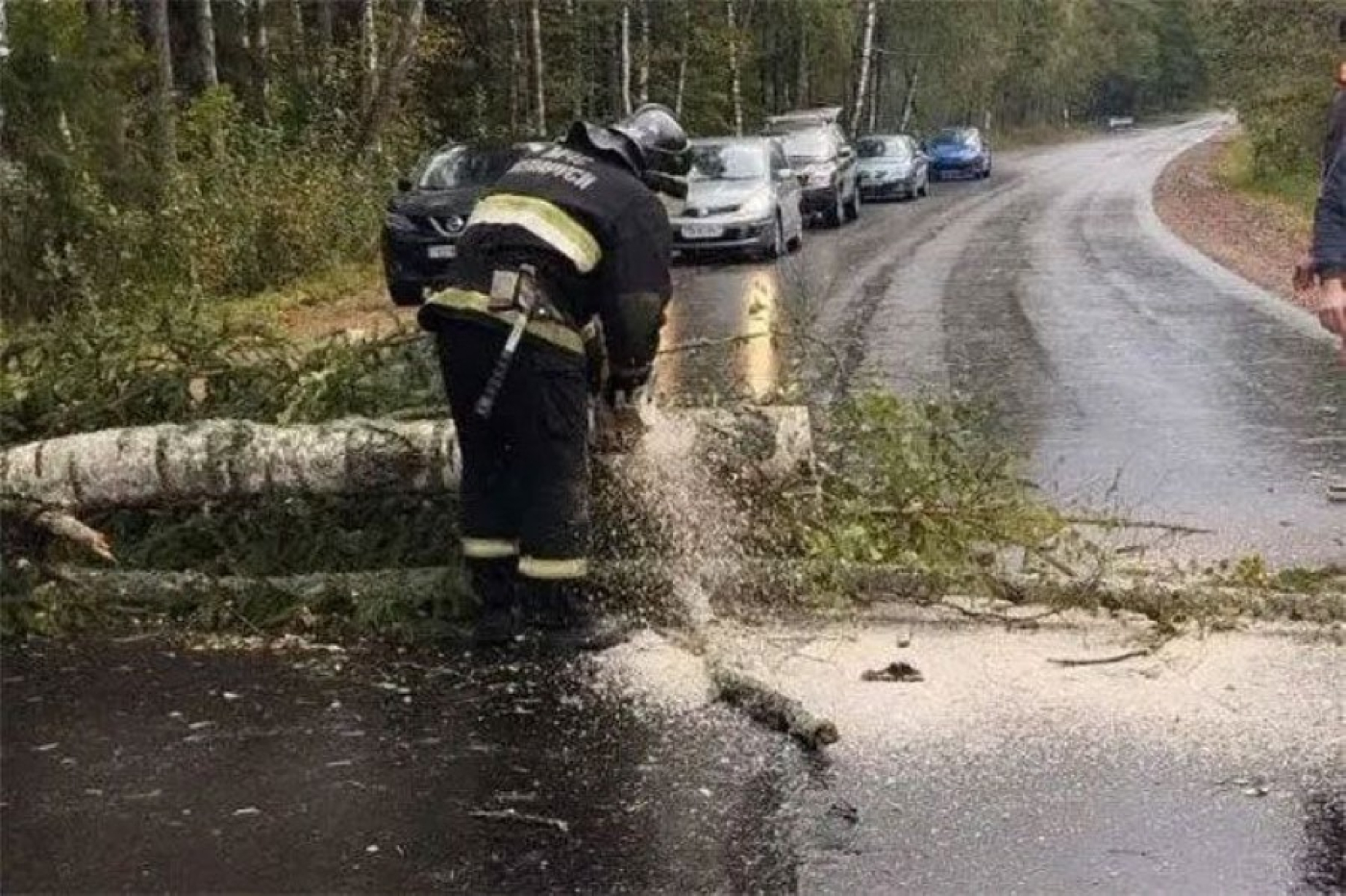 Упавшие деревья и отключение электричества. Последствия непогоды в Минской области.