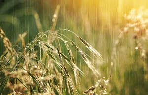 На 25 июля Белгидромет объявил оранжевый уровень опасности из-за гроз и сильных ливней