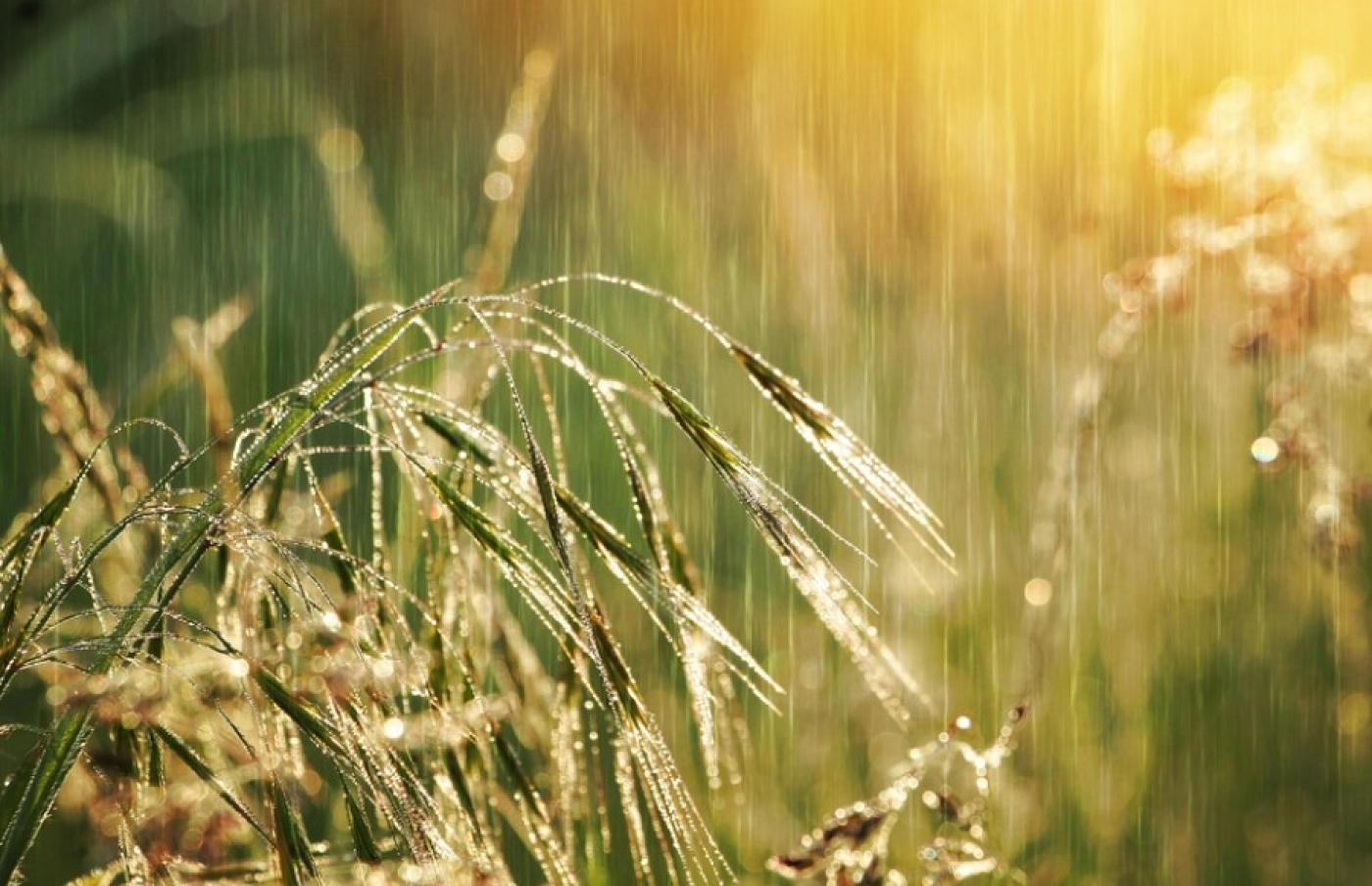 На 25 июля Белгидромет объявил оранжевый уровень опасности из-за гроз и сильных ливней