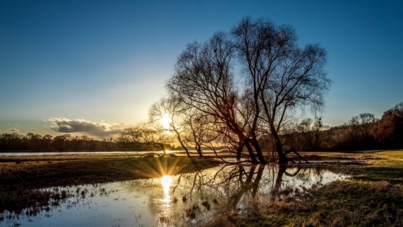 В Беларусь к середине недели начнет поступать холодный воздух с северных широт