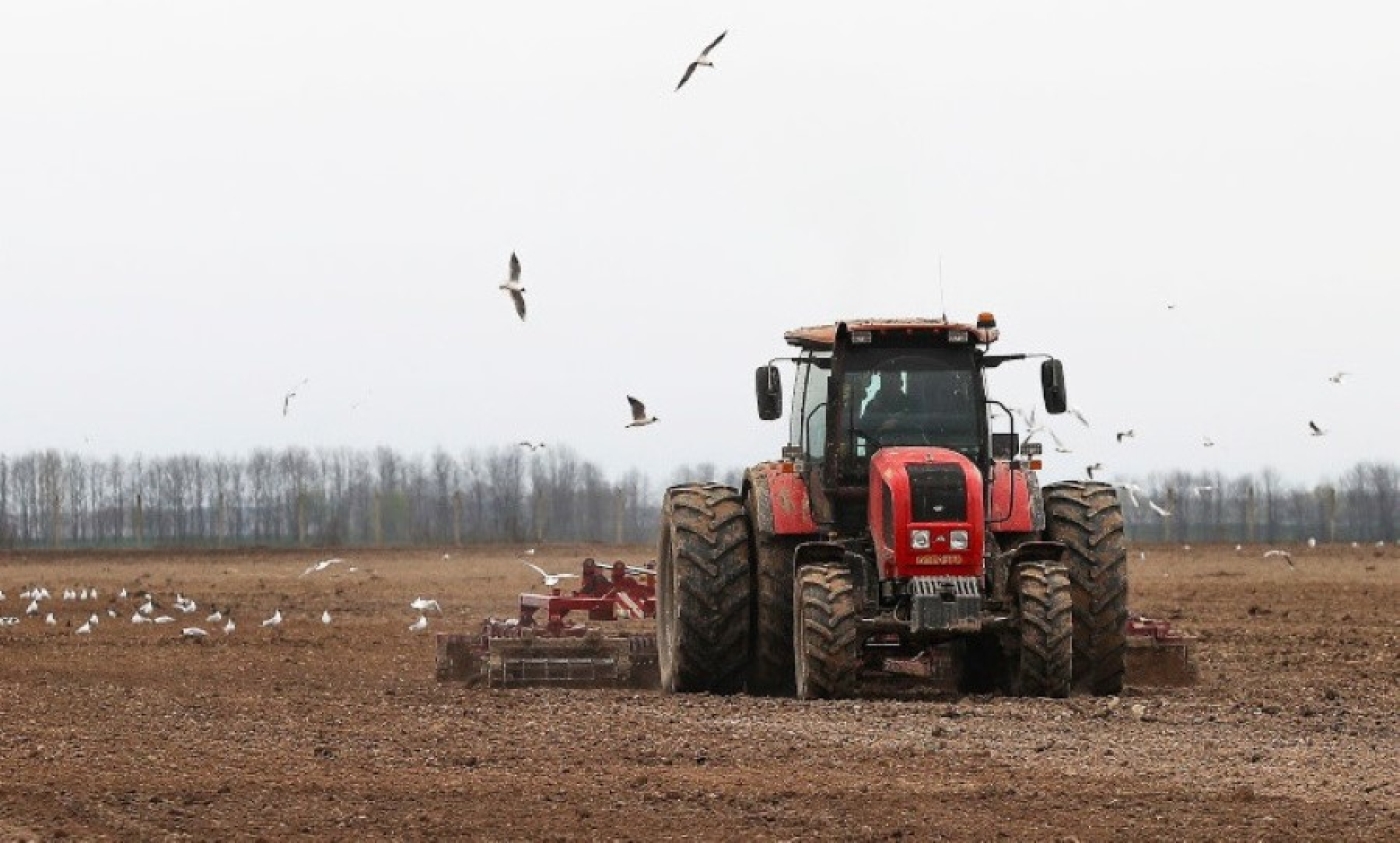 Посевная без травматизма. Профсоюзы проведут мониторинг по охране труда