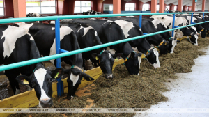 В Минской области планируют построить 30 молочно-товарных ферм в 2023 году