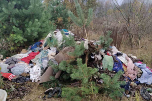 Почему мусорим?