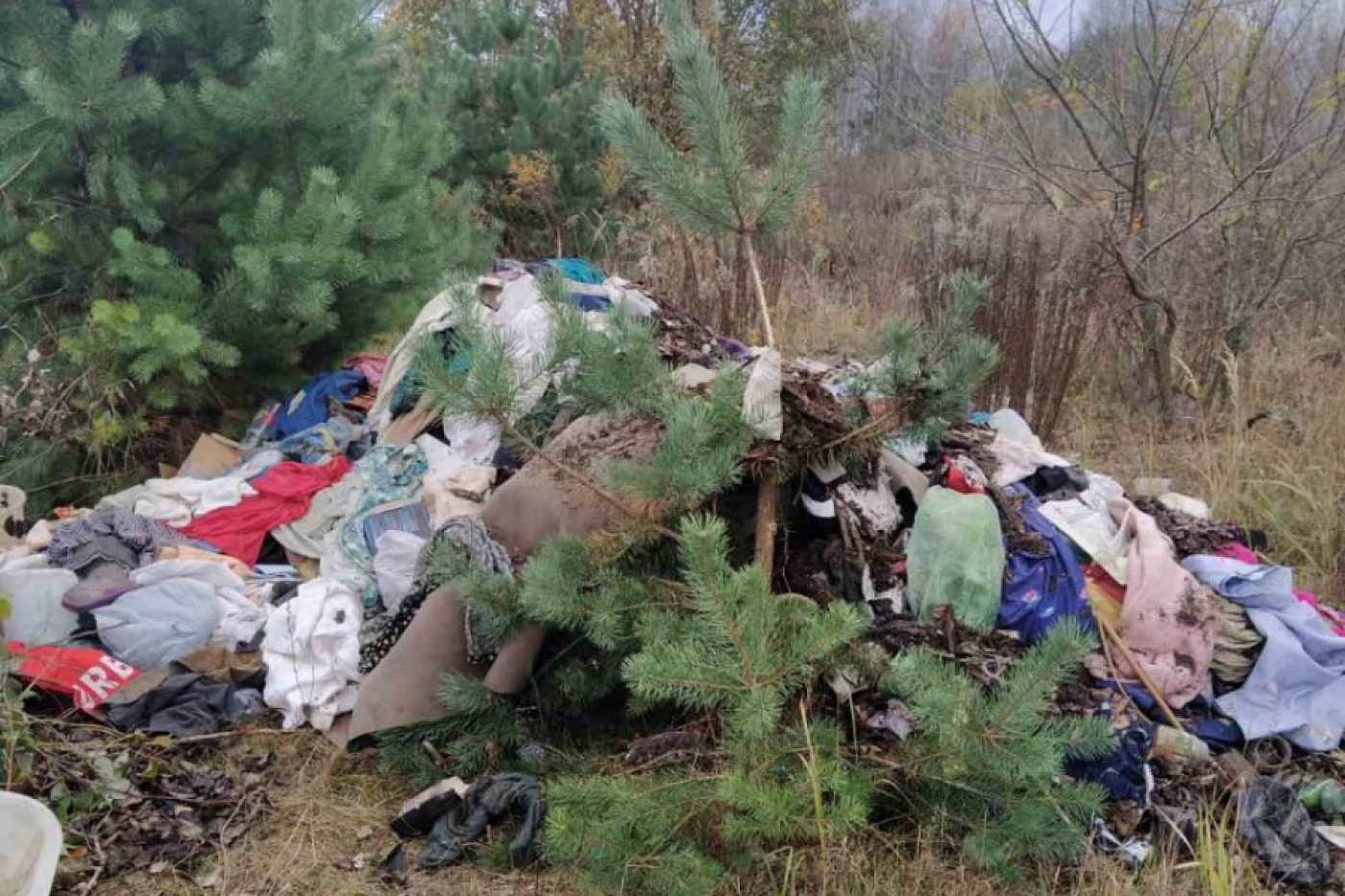 Почему мусорим?