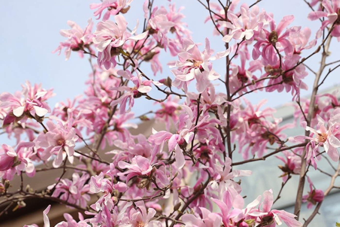 Похолодает? Чего белорусам ждать от погоды с 3 по 8 апреля