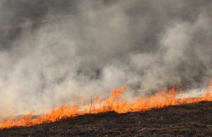 В Мостовском районе огонь от сухой травы уничтожил четыре постройки