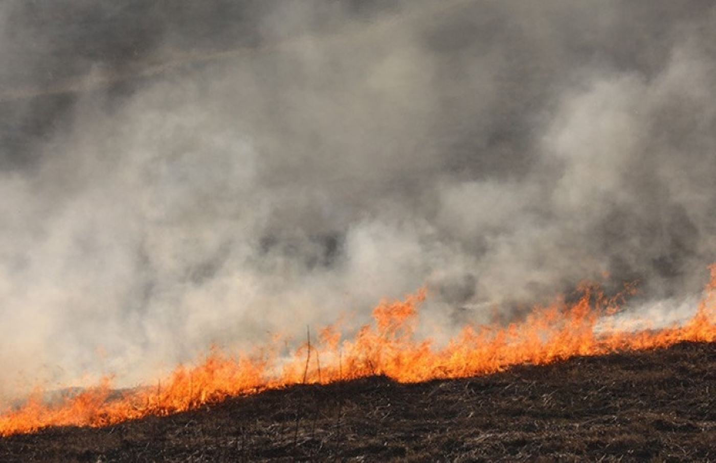 В Мостовском районе огонь от сухой травы уничтожил четыре постройки