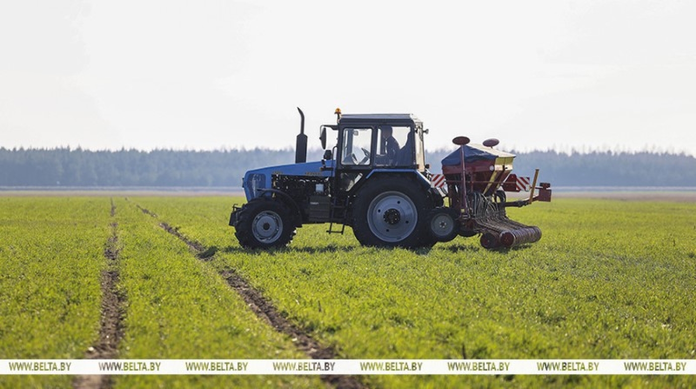 Лукашенко обозначил задачи для аграриев на 2024 год