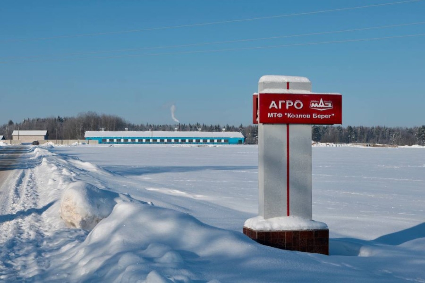 Сохранность крупного рогатого скота на особом контроле: