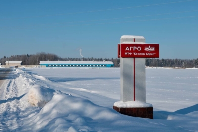 Сохранность крупного рогатого скота на особом контроле: