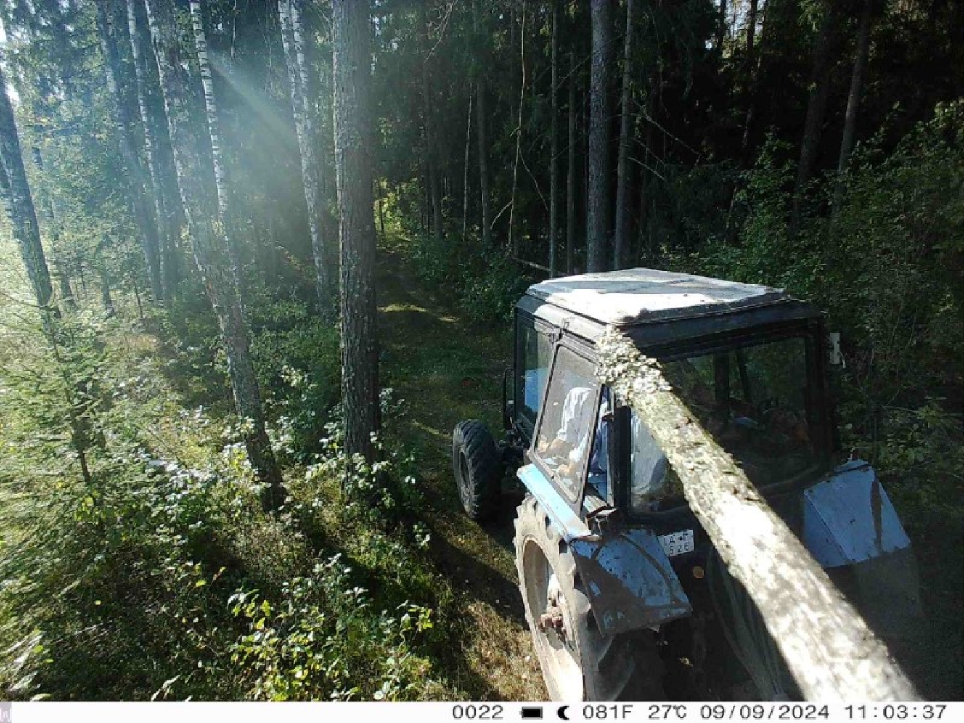 Новый "улов" фотоловушки