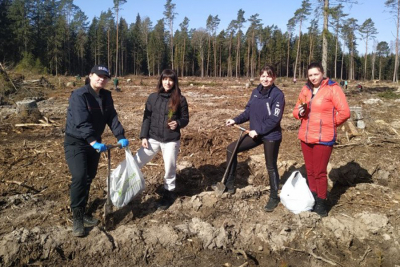 Ежегодная акция "Неделя леса" проходит по всей стране