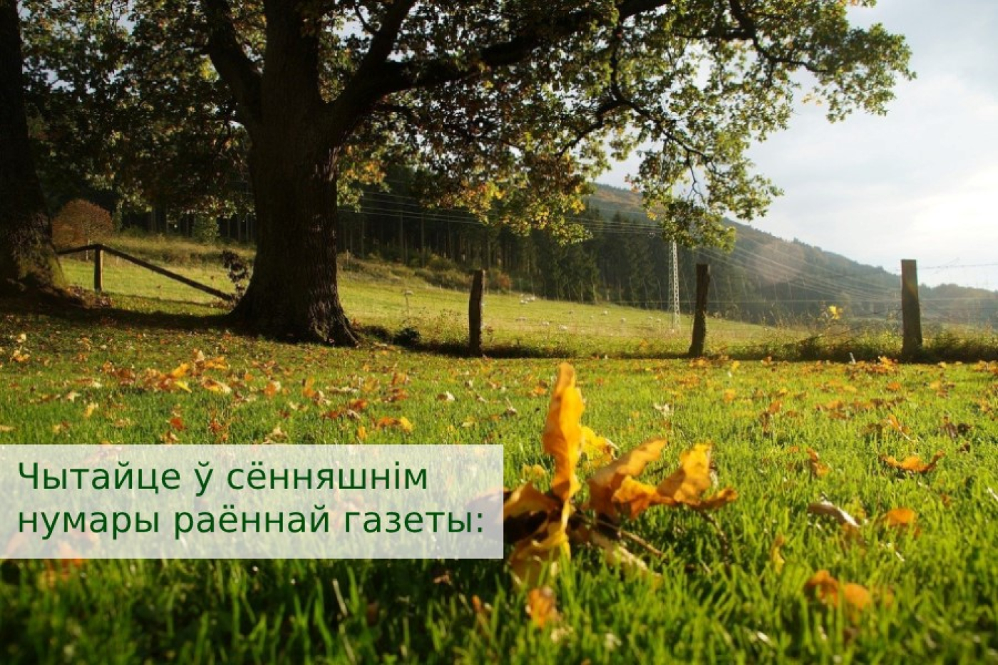 Чытайце ў сённяшнім нумары раённай газеты: