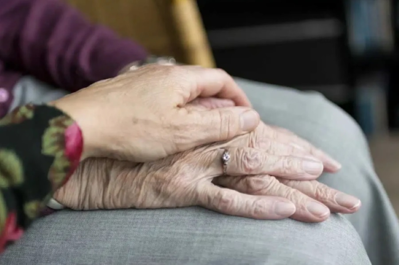 Обязаны ли дети содержать своих родителей — ответила адвокат