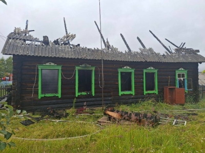 На пожаре в Каменном Борке погиб человек