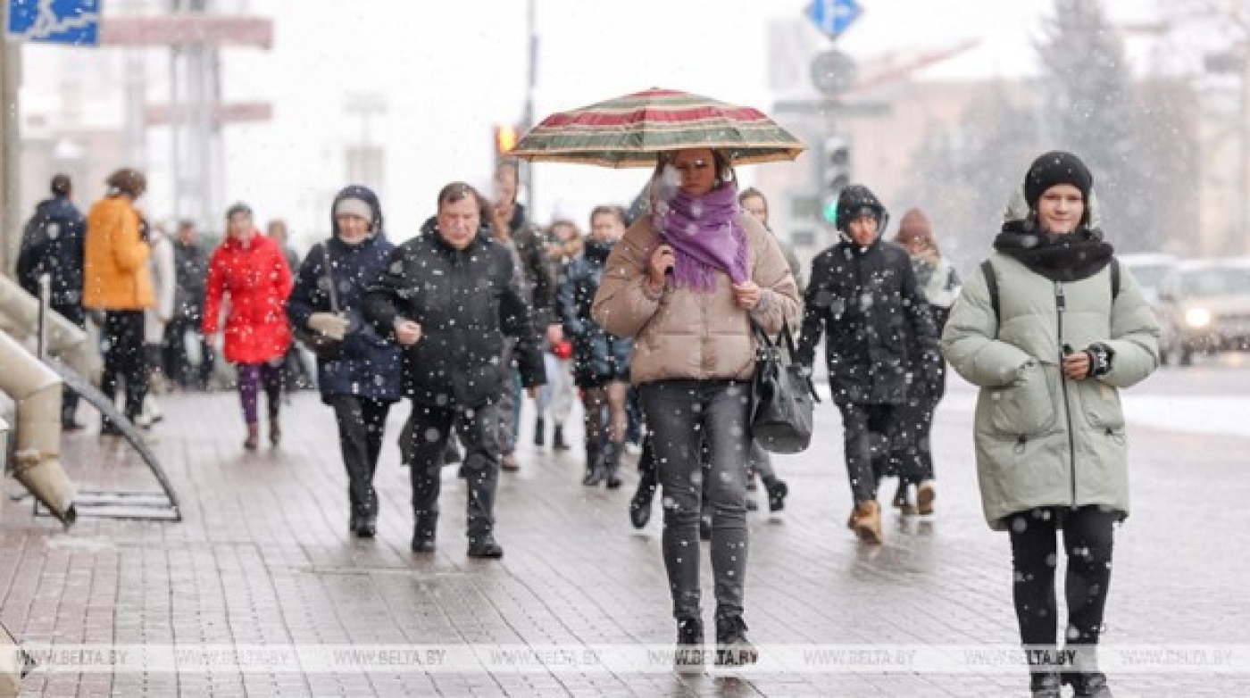Сотни встреч и более 1 тыс. обращений. Доверенные лица Лукашенко на выборах рассказали о наказах избирателей