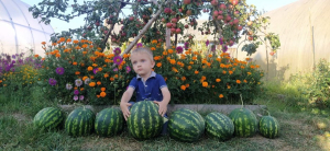 Фотоконкурс "Мой богатый урожай"